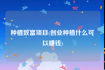 种植致富项目(创业种植什么可以赚钱)