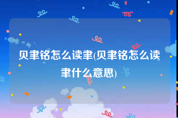 贝聿铭怎么读聿(贝聿铭怎么读聿什么意思)