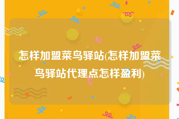 怎样加盟菜鸟驿站(怎样加盟菜鸟驿站代理点怎样盈利)