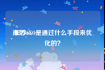 潍坊seo:长沙SEO是通过什么手段来优化的？