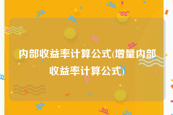 内部收益率计算公式(增量内部收益率计算公式)