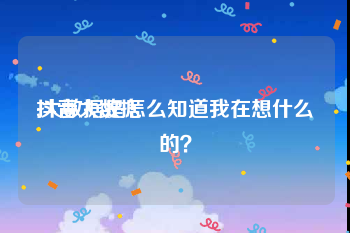 抖音大数据:大数据是怎么知道我在想什么的？
