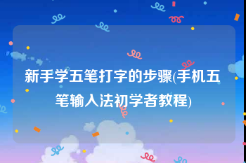 新手学五笔打字的步骤(手机五笔输入法初学者教程)