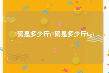 1磅是多少斤(1磅是多少斤kg)