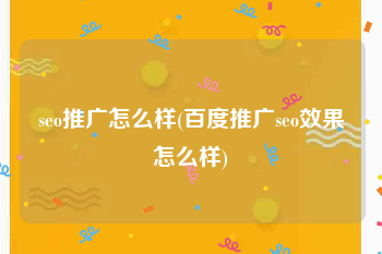 seo推广怎么样(百度推广seo效果怎么样)