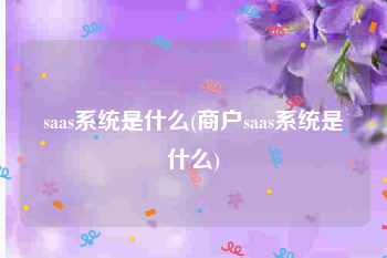 saas系统是什么(商户saas系统是什么)