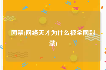 网禁(网络天才为什么被全网封禁)