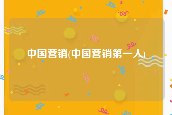 中国营销(中国营销第一人)