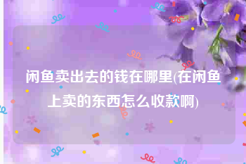 闲鱼卖出去的钱在哪里(在闲鱼上卖的东西怎么收款啊)