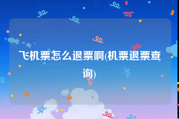 飞机票怎么退票啊(机票退票查询)