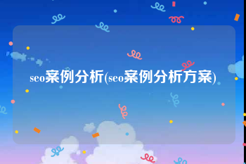 seo案例分析(seo案例分析方案)