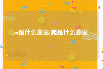 pa是什么意思(爬是什么意思)