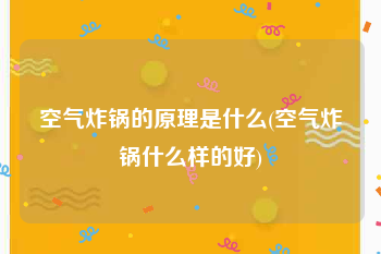 空气炸锅的原理是什么(空气炸锅什么样的好)