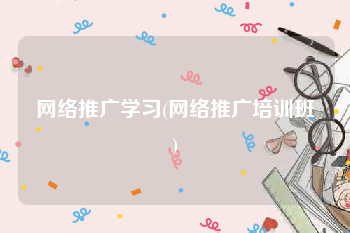 网络推广学习(网络推广培训班)
