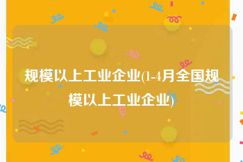 规模以上工业企业(1-4月全国规模以上工业企业)