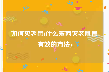如何灭老鼠(什么东西灭老鼠最有效的方法)
