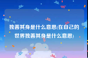 独善其身是什么意思(在自己的世界独善其身是什么意思)