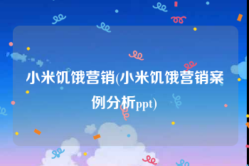 小米饥饿营销(小米饥饿营销案例分析ppt)