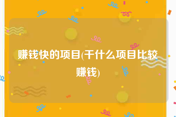 赚钱快的项目(干什么项目比较赚钱)