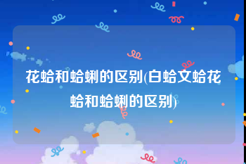 花蛤和蛤蜊的区别(白蛤文蛤花蛤和蛤蜊的区别)