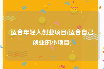 适合年轻人创业项目(适合自己创业的小项目)