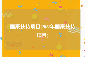 国家扶持项目(2022年国家扶持项目)
