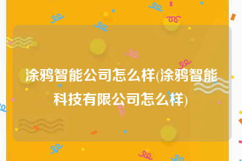 涂鸦智能公司怎么样(涂鸦智能科技有限公司怎么样)