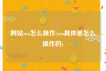 网站seo怎么操作(seo具体是怎么操作的)