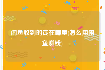 闲鱼收到的钱在哪里(怎么用闲鱼赚钱)