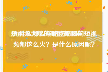 短视频火爆的原因有哪些
:为什么那么些吃吃喝喝的短视频都这么火？是什么原因呢？