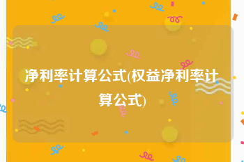 净利率计算公式(权益净利率计算公式)