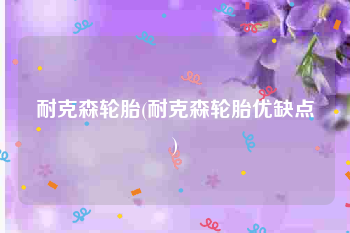 耐克森轮胎(耐克森轮胎优缺点)