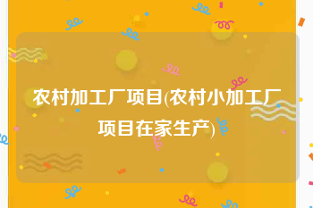农村加工厂项目(农村小加工厂项目在家生产)