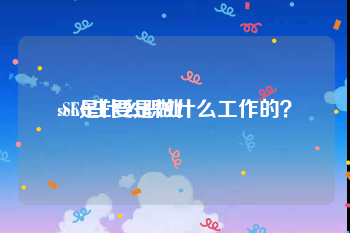 seo是什么职业
:SEO主要是做什么工作的?