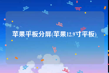 苹果平板分屏(苹果12.9寸平板)