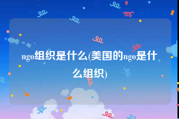 ngo组织是什么(美国的ngo是什么组织)