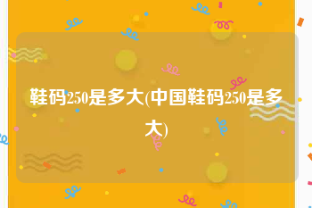 鞋码250是多大(中国鞋码250是多大)