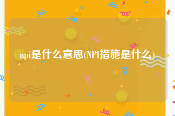 npi是什么意思(NPI措施是什么)