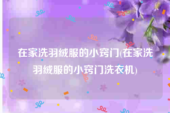 在家洗羽绒服的小窍门(在家洗羽绒服的小窍门洗衣机)