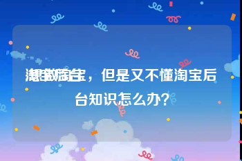 淘宝后台:想做淘宝，但是又不懂淘宝后台知识怎么办？
