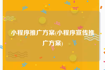小程序推广方案(小程序宣传推广方案)