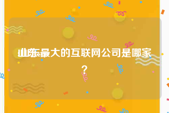 山东seo:山东最大的互联网公司是哪家？