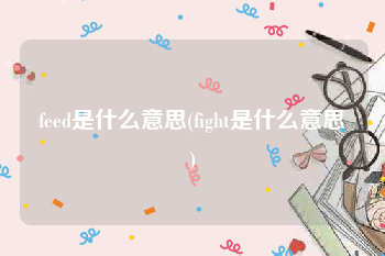 feed是什么意思(fight是什么意思)