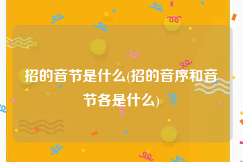 招的音节是什么(招的音序和音节各是什么)