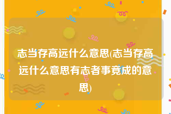 志当存高远什么意思(志当存高远什么意思有志者事竟成的意思)