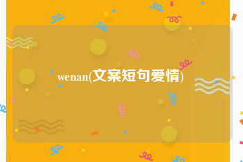 wenan(文案短句爱情)