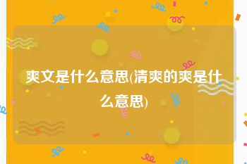 爽文是什么意思(清爽的爽是什么意思)