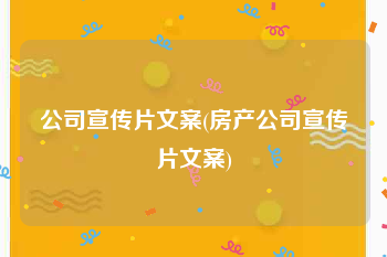 公司宣传片文案(房产公司宣传片文案)