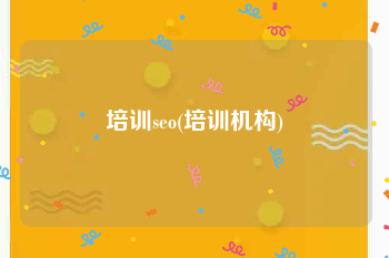 培训seo(培训机构)