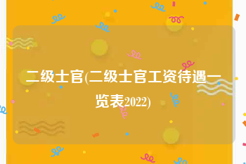 二级士官(二级士官工资待遇一览表2022)
